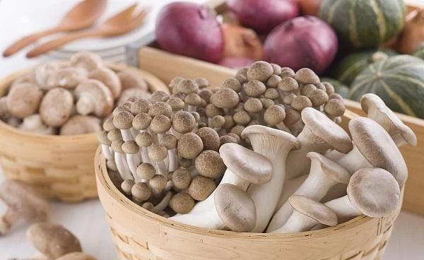 艾詩特蝦青素 艾詩特蝦青素