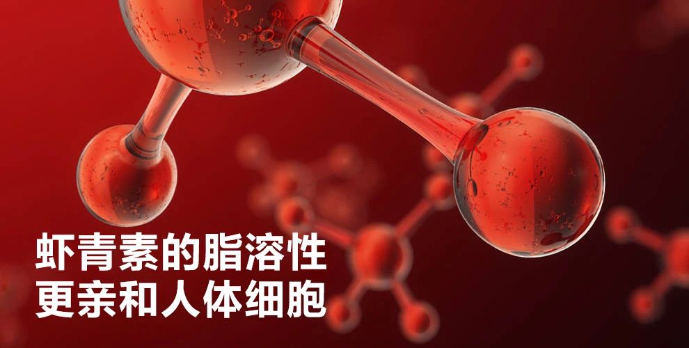 艾詩(shī)特蝦青素 艾詩(shī)特蝦青素