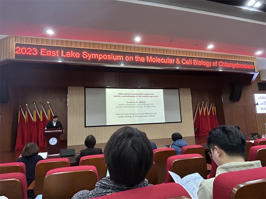 艾詩特蝦青素 艾詩特蝦青素