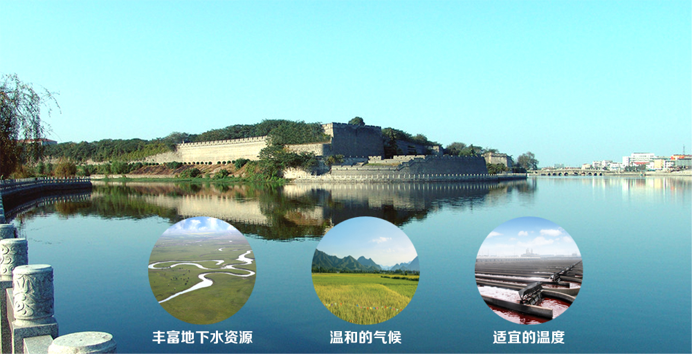 艾詩(shī)特蝦青素 艾詩(shī)特蝦青素