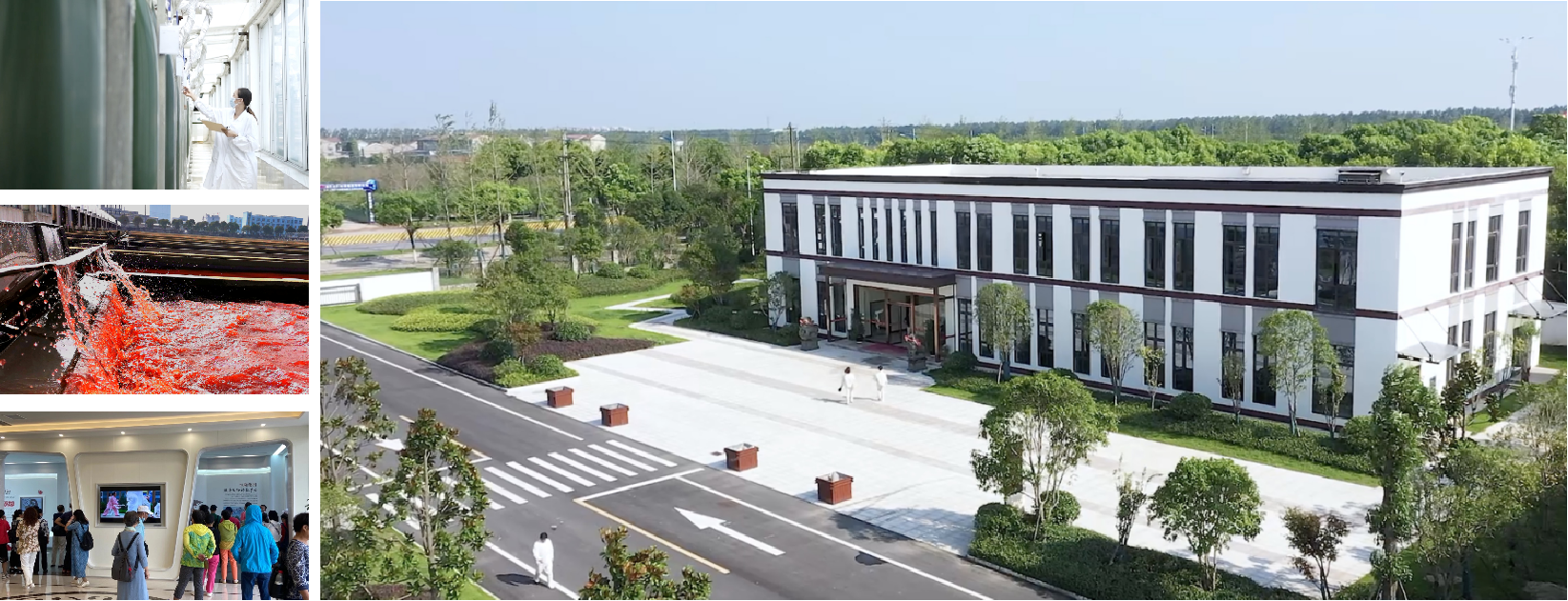 艾詩(shī)特蝦青素 艾詩(shī)特蝦青素