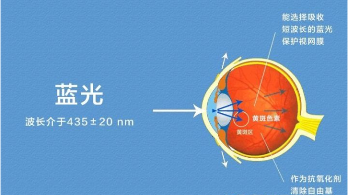 艾詩(shī)特蝦青素