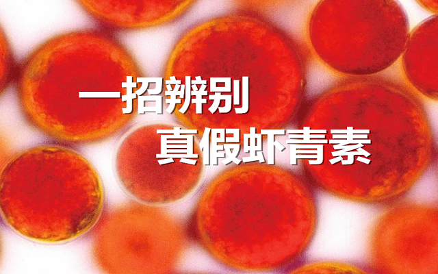 艾詩(shī)特蝦青素 艾詩(shī)特蝦青素