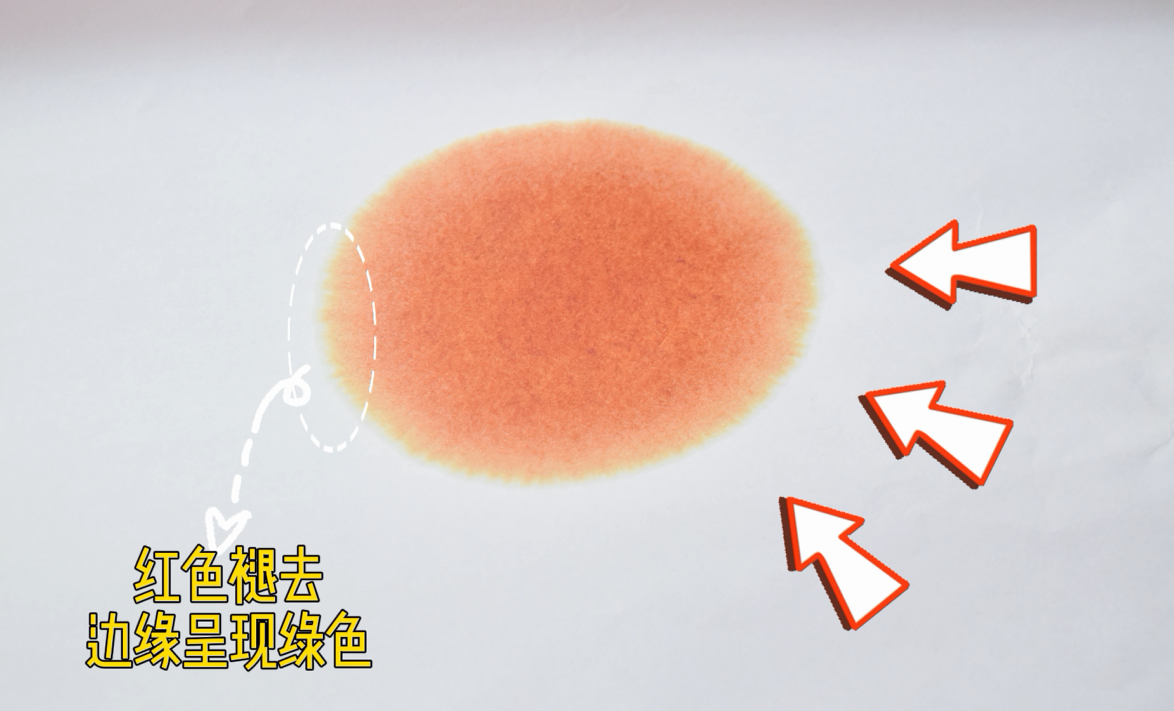 艾詩(shī)特蝦青素 艾詩(shī)特蝦青素