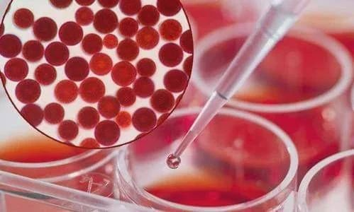 艾詩特蝦青素 艾詩特蝦青素