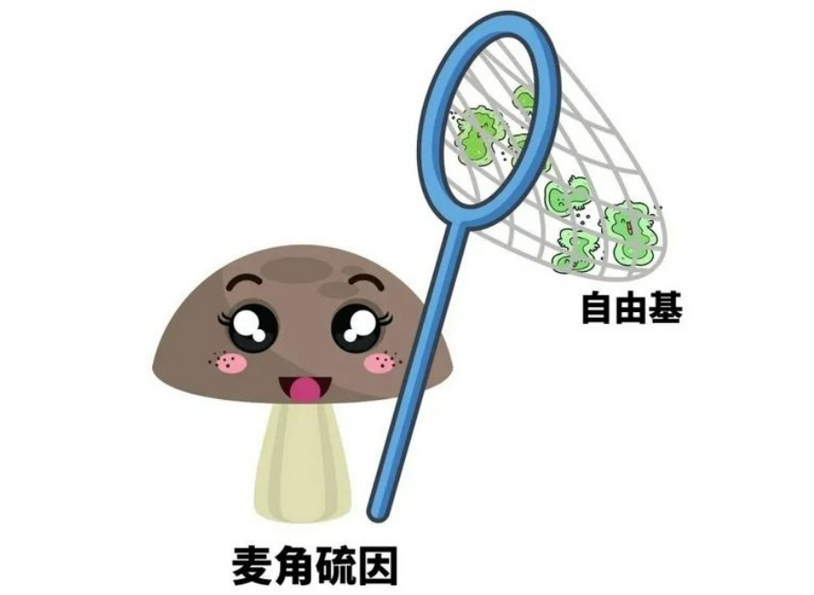 艾詩(shī)特蝦青素