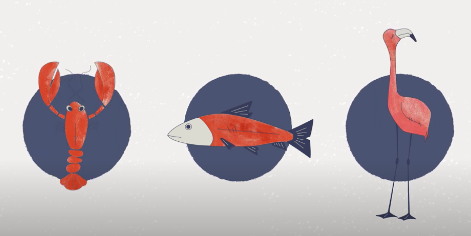 艾詩(shī)特蝦青素 艾詩(shī)特蝦青素