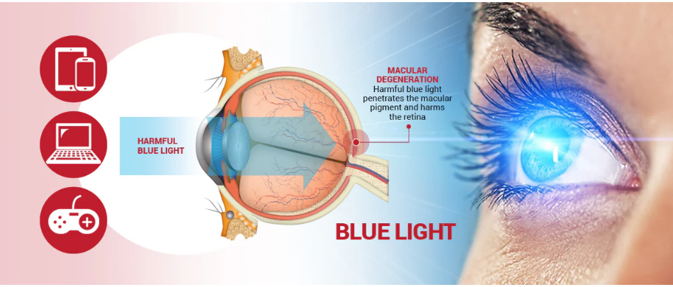 艾詩(shī)特蝦青素 艾詩(shī)特蝦青素