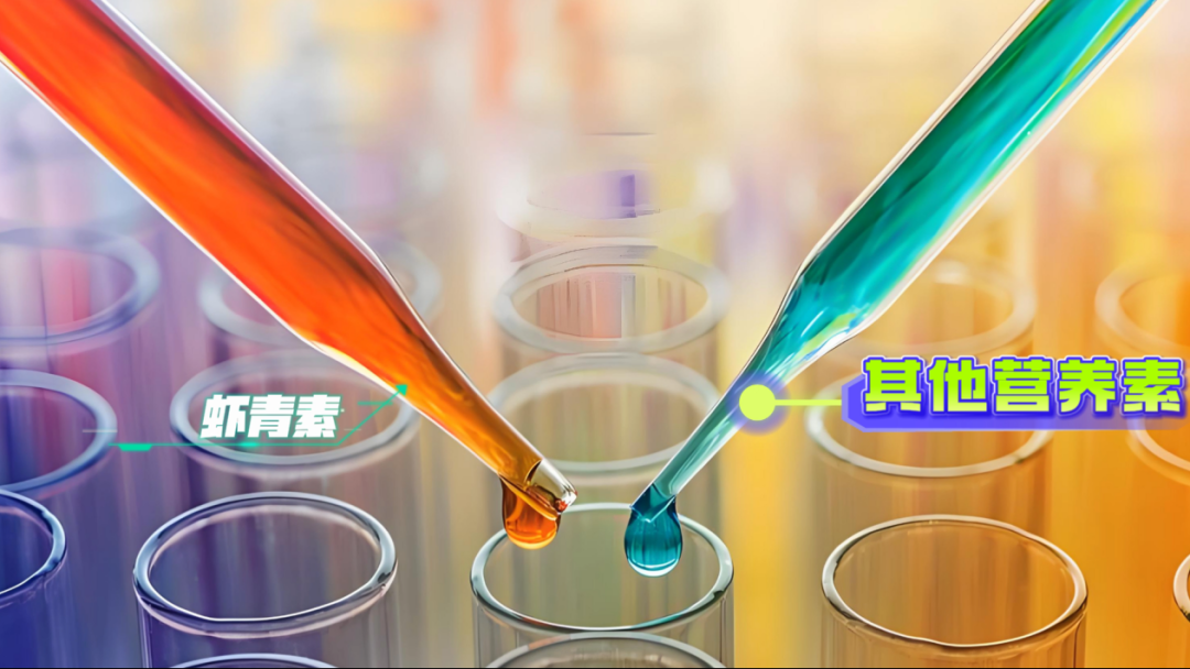 艾詩(shī)特蝦青素