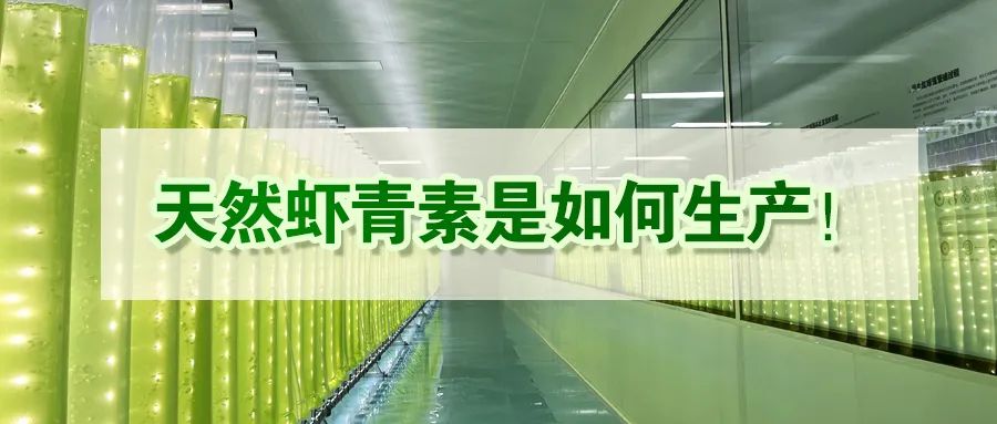 艾詩特蝦青素 艾詩特蝦青素