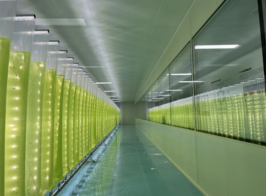 艾詩特蝦青素 艾詩特蝦青素