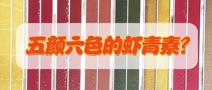 艾詩特蝦青素 艾詩特蝦青素