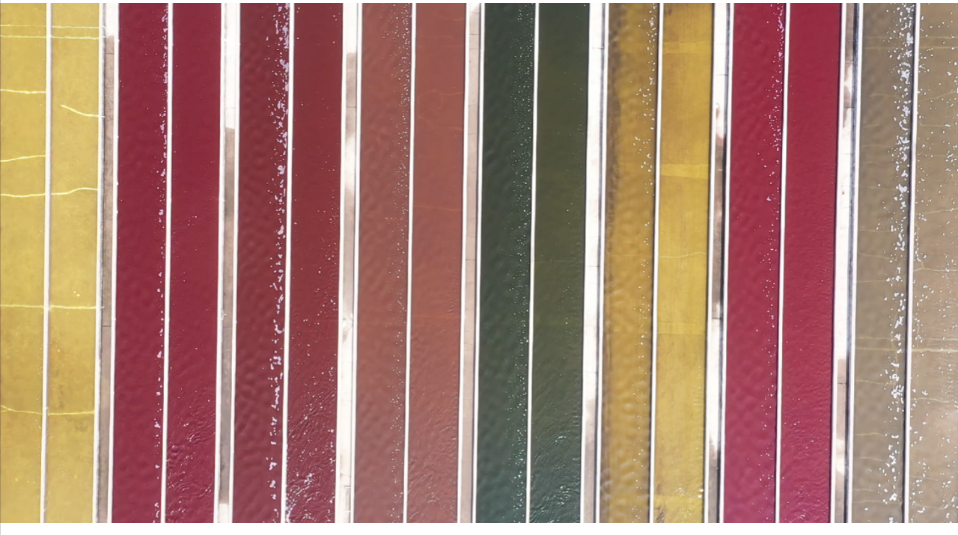 艾詩特蝦青素 艾詩特蝦青素