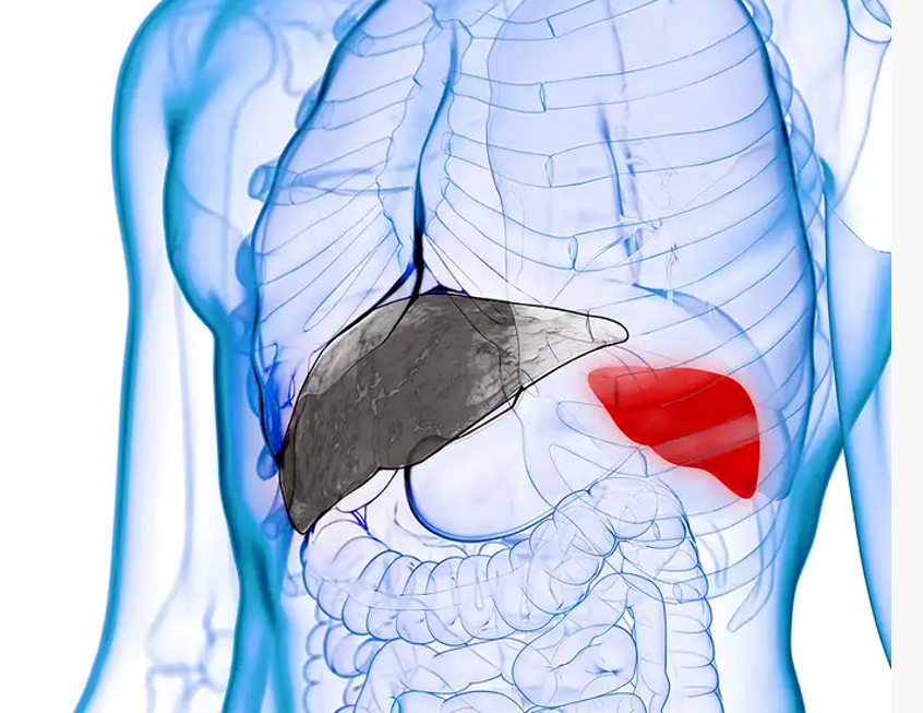 艾詩特蝦青素 艾詩特蝦青素