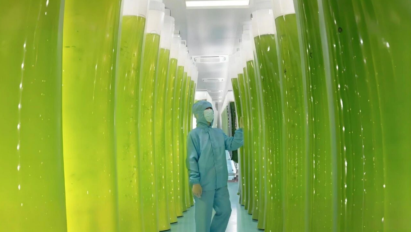 艾詩(shī)特蝦青素