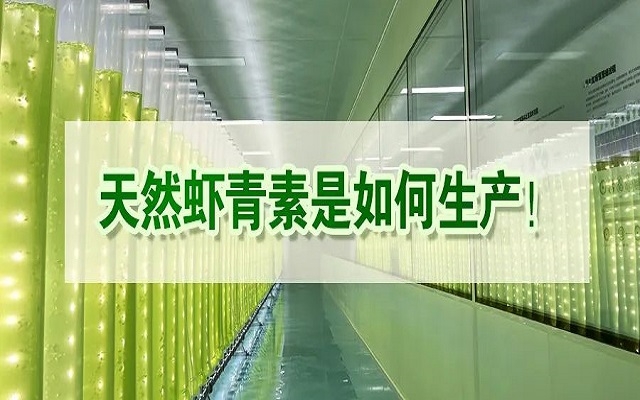 天然蝦青素是如何生產(chǎn)？走進(jìn)源頭工廠看一看！